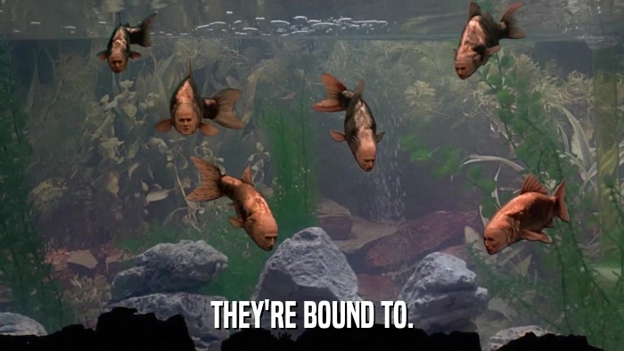 THEY'RE BOUND TO.  