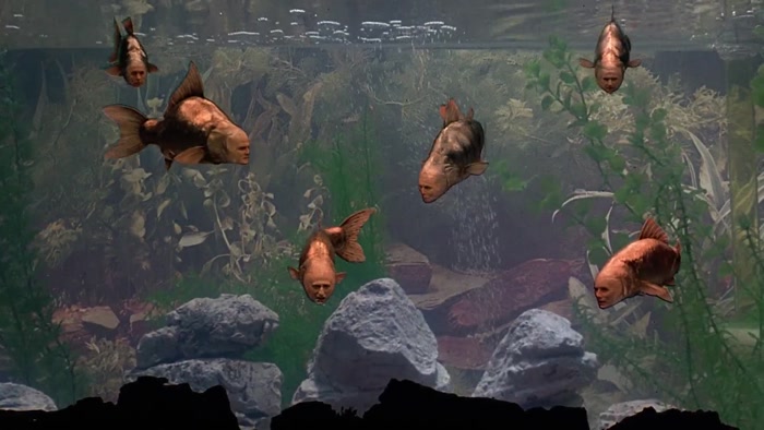 THEY HAVEN'T SAID MUCH ABOUT THE MEANING OF LIFE SO FAR, HAVE THEY? 