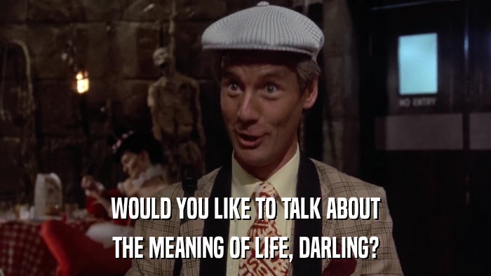 WOULD YOU LIKE TO TALK ABOUT THE MEANING OF LIFE, DARLING? 