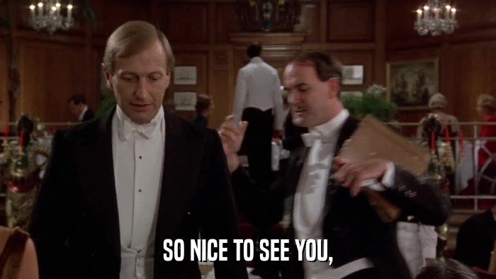 SO NICE TO SEE YOU,  