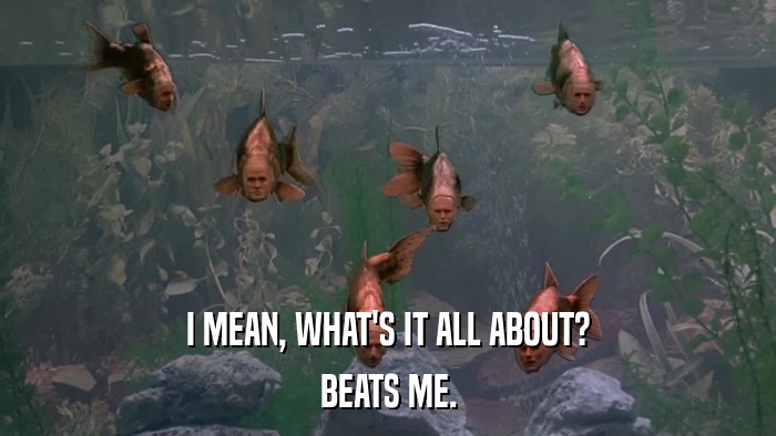 I MEAN, WHAT'S IT ALL ABOUT? BEATS ME. 