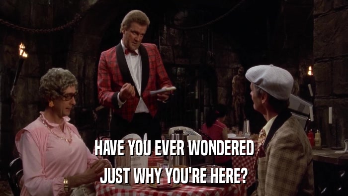 HAVE YOU EVER WONDERED JUST WHY YOU'RE HERE? 