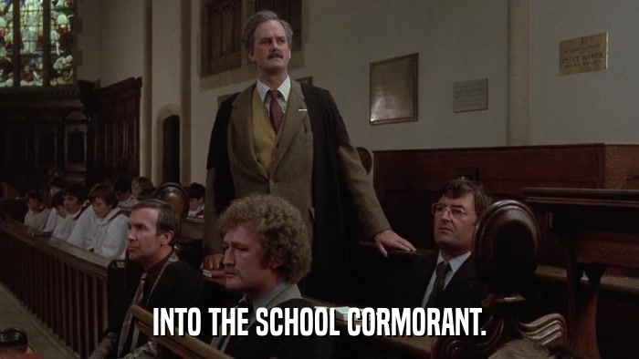 INTO THE SCHOOL CORMORANT.  
