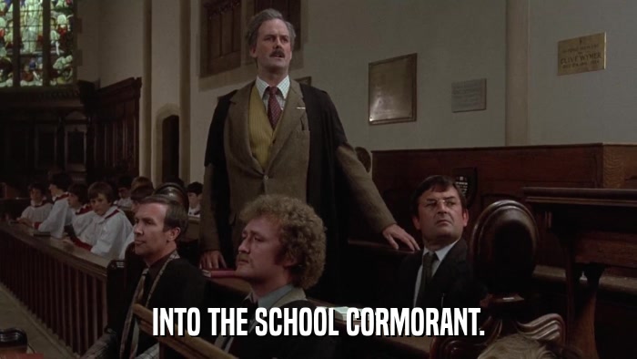 INTO THE SCHOOL CORMORANT.  