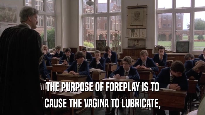 THE PURPOSE OF FOREPLAY IS TO CAUSE THE VAGINA TO LUBRICATE, 