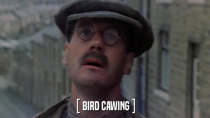 [ BIRD CAWING ]  