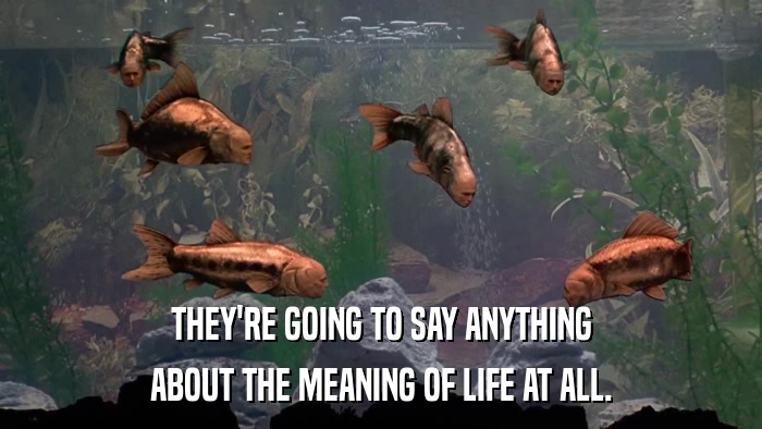 THEY'RE GOING TO SAY ANYTHING ABOUT THE MEANING OF LIFE AT ALL. 