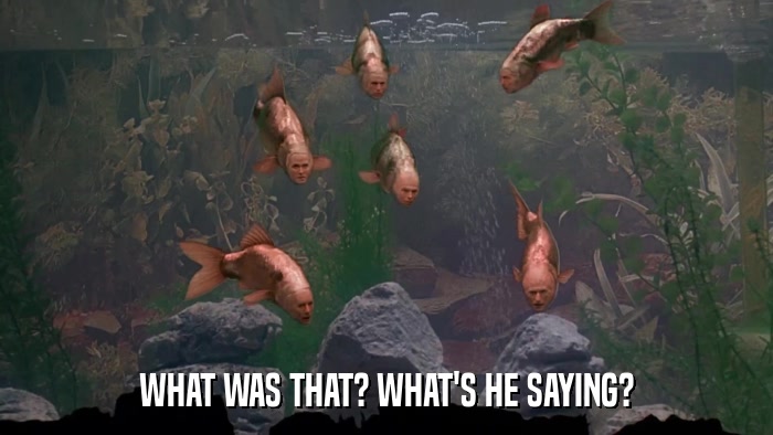 WHAT WAS THAT? WHAT'S HE SAYING?  