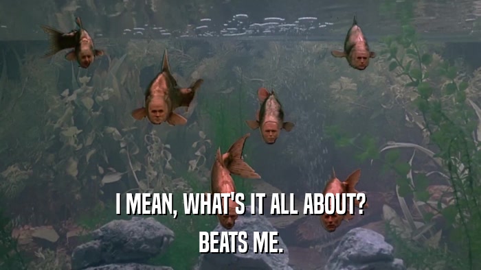 I MEAN, WHAT'S IT ALL ABOUT? BEATS ME. 