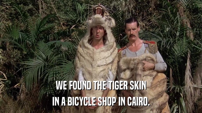 WE FOUND THE TIGER SKIN IN A BICYCLE SHOP IN CAIRO. 