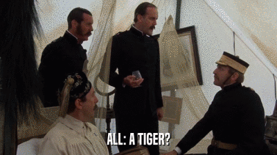 ALL: A TIGER?  