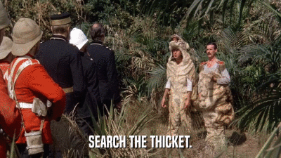 SEARCH THE THICKET.  