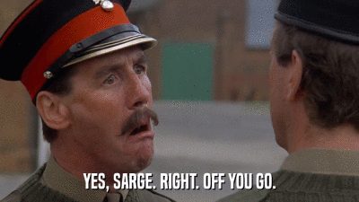 YES, SARGE. RIGHT. OFF YOU GO.  