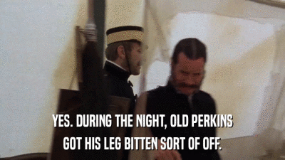 YES. DURING THE NIGHT, OLD PERKINS GOT HIS LEG BITTEN SORT OF OFF. 