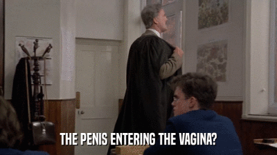 THE PENIS ENTERING THE VAGINA?  