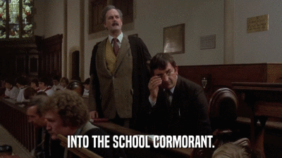 INTO THE SCHOOL CORMORANT.  