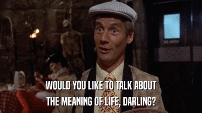WOULD YOU LIKE TO TALK ABOUT THE MEANING OF LIFE, DARLING? 