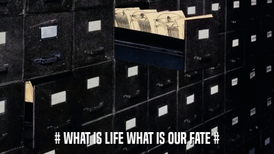# WHAT IS LIFE WHAT IS OUR FATE #  