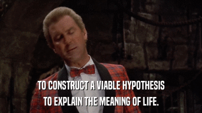 TO CONSTRUCT A VIABLE HYPOTHESIS TO EXPLAIN THE MEANING OF LIFE. 