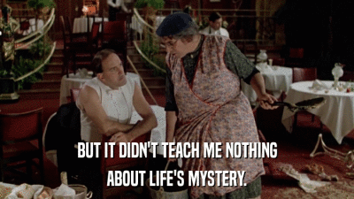 BUT IT DIDN'T TEACH ME NOTHING ABOUT LIFE'S MYSTERY. 