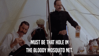 MUST BE THAT HOLE IN THE BLOODY MOSQUITO NET. 