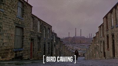 [ BIRD CAWING ]  