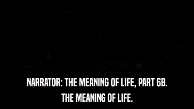 NARRATOR: THE MEANING OF LIFE, PART 6B. THE MEANING OF LIFE. 