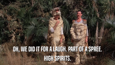OH, WE DID IT FOR A LAUGH. PART OF A SPREE. HIGH SPIRITS. 