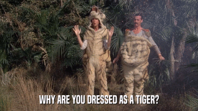 WHY ARE YOU DRESSED AS A TIGER?  