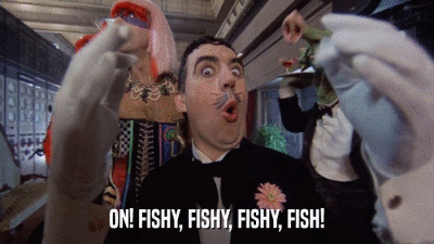 ON! FISHY, FISHY, FISHY, FISH!  