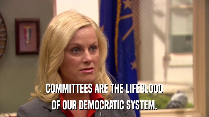 COMMITTEES ARE THE LIFEBLOOD OF OUR DEMOCRATIC SYSTEM. 