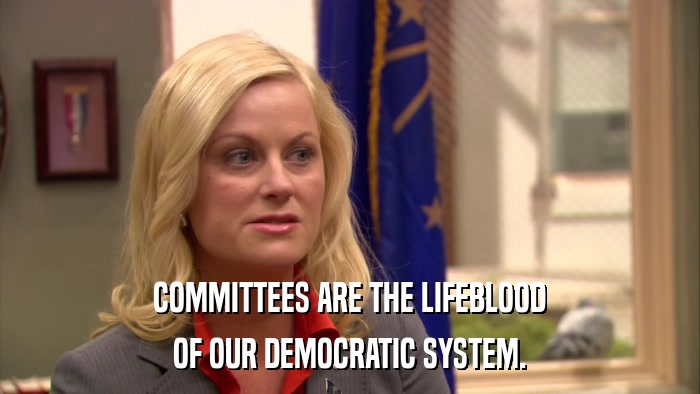 COMMITTEES ARE THE LIFEBLOOD OF OUR DEMOCRATIC SYSTEM. 