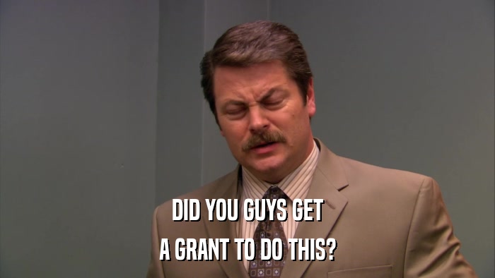 DID YOU GUYS GET A GRANT TO DO THIS? 