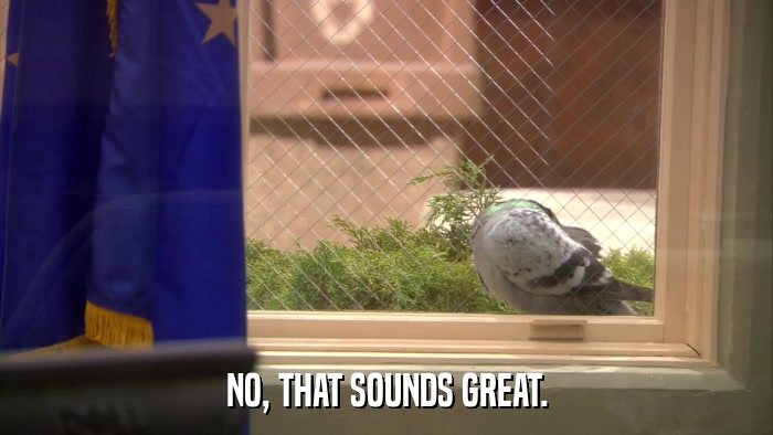 NO, THAT SOUNDS GREAT.  