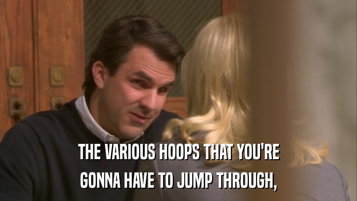 THE VARIOUS HOOPS THAT YOU'RE GONNA HAVE TO JUMP THROUGH, 