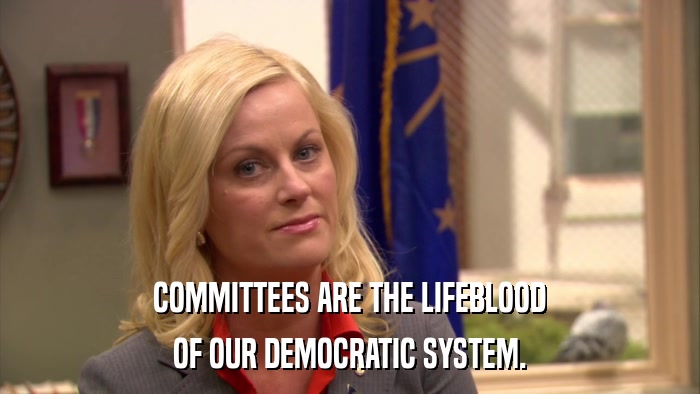 COMMITTEES ARE THE LIFEBLOOD OF OUR DEMOCRATIC SYSTEM. 