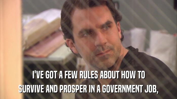 I'VE GOT A FEW RULES ABOUT HOW TO SURVIVE AND PROSPER IN A GOVERNMENT JOB, 
