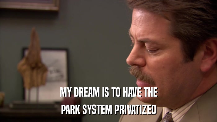 MY DREAM IS TO HAVE THE PARK SYSTEM PRIVATIZED 