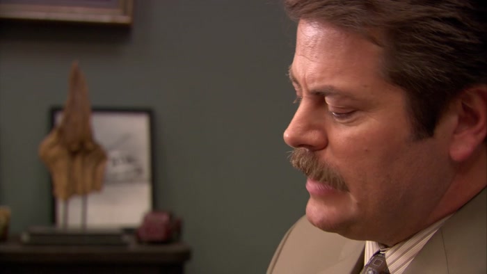 MY DREAM IS TO HAVE THE PARK SYSTEM PRIVATIZED 
