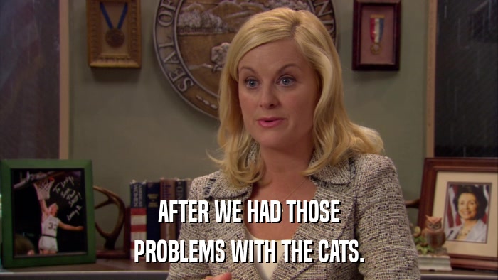 AFTER WE HAD THOSE PROBLEMS WITH THE CATS. 