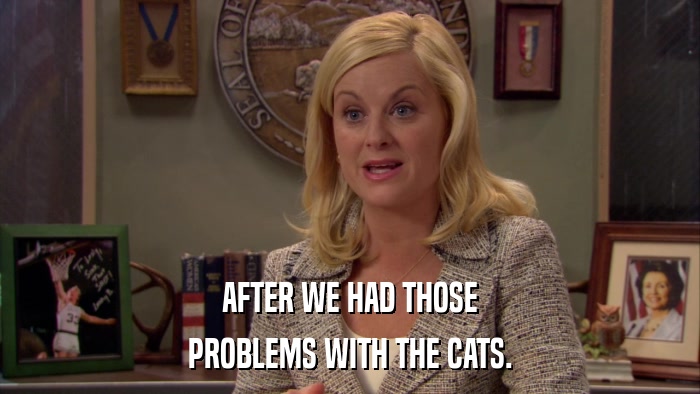 AFTER WE HAD THOSE PROBLEMS WITH THE CATS. 