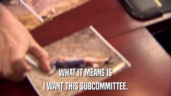 WHAT IT MEANS IS I WANT THIS SUBCOMMITTEE. 