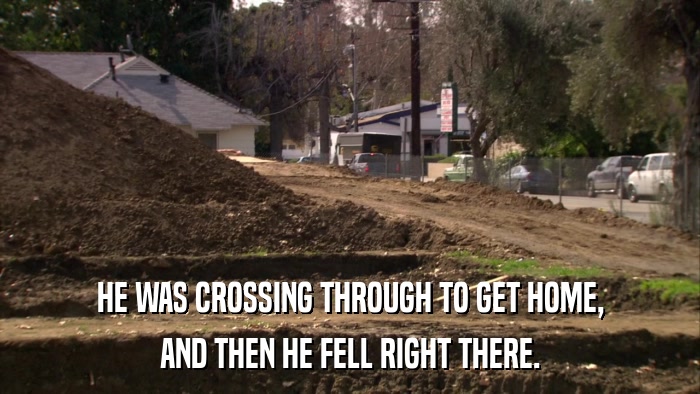HE WAS CROSSING THROUGH TO GET HOME, AND THEN HE FELL RIGHT THERE. 