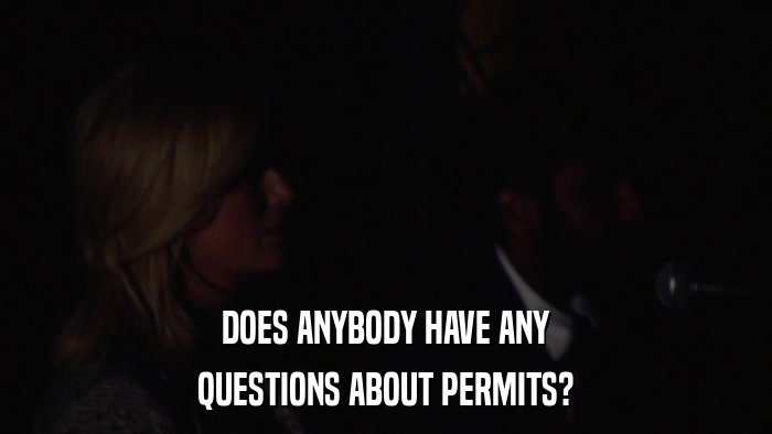 DOES ANYBODY HAVE ANY QUESTIONS ABOUT PERMITS? 