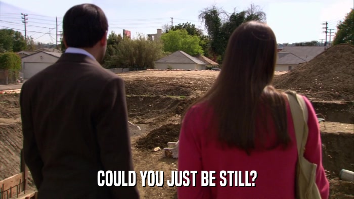 COULD YOU JUST BE STILL?  