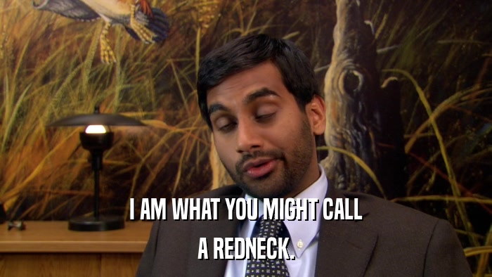 I AM WHAT YOU MIGHT CALL A REDNECK. 
