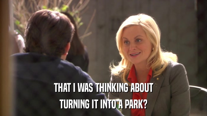 THAT I WAS THINKING ABOUT TURNING IT INTO A PARK? 