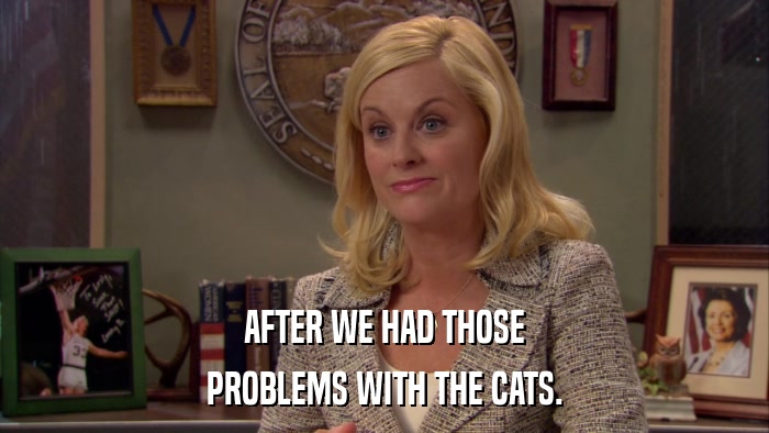 AFTER WE HAD THOSE PROBLEMS WITH THE CATS. 