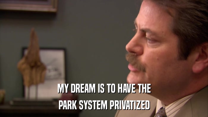 MY DREAM IS TO HAVE THE PARK SYSTEM PRIVATIZED 