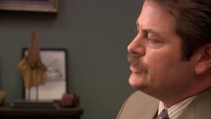 MY DREAM IS TO HAVE THE PARK SYSTEM PRIVATIZED 